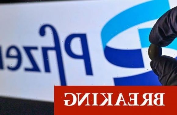 Pfizer hands UK Covid lifeline as date wonder-pill will be available revealed: ‘Milestone’