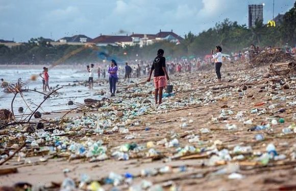 Plastic pollution is 'a planetary emergency', report warns