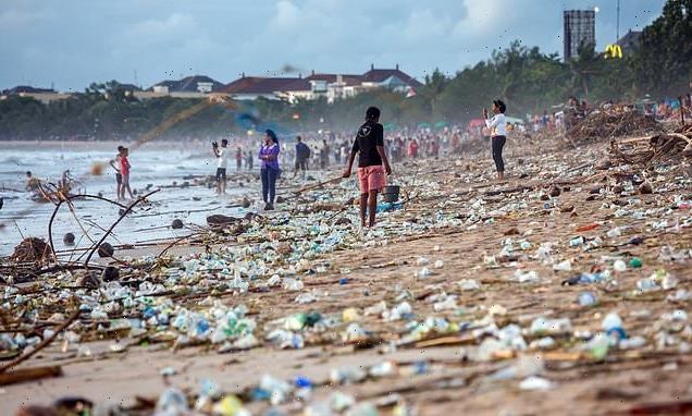 Plastic pollution is 'a planetary emergency', report warns