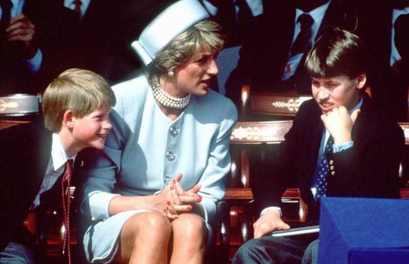 Prince Harry's bold remark after Prince William told Princess Diana that he 'didn't want to be king'