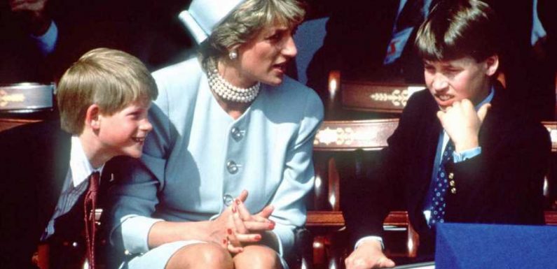 Prince Harry's bold remark after Prince William told Princess Diana that he 'didn't want to be king'
