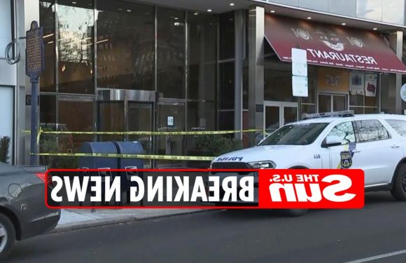 Receptionist 'BLUDGEONED to death with pipe' in Philadelphia office building as suspect arrested after vicious beating