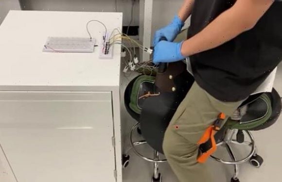 Smart horse-riding SADDLE alerts others if an equestrian takes a fall