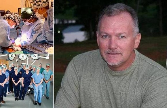 Surgeons successfully transplant two PIG KIDNEYS into brain dead human