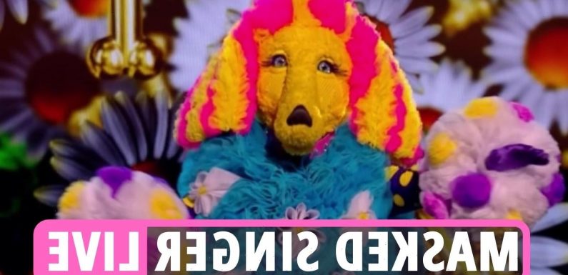 The Masked Singer 2022 – Fans all saying the same thing about Poodle's identity, as Bagpipes is UNMASKED