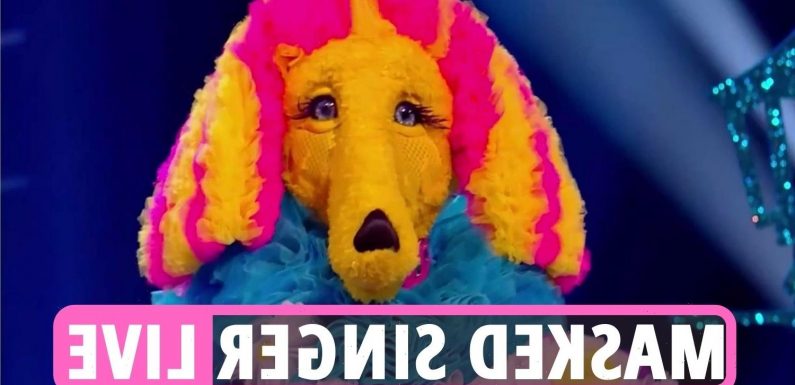 The Masked Singer 2022 LIVE: Poodle revealed to be MAJOR popstar as Traffic Cone remains masked for ANOTHER week