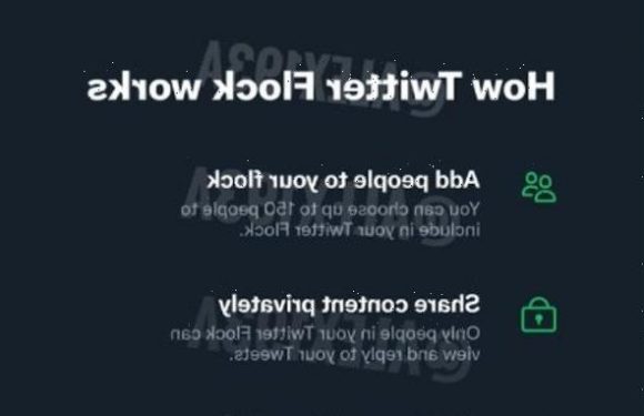 Twitter to let users share tweets with a 'Flock' of 150 people