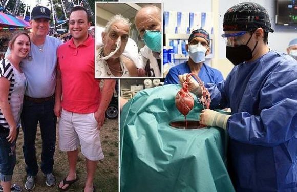 US surgeons transplant a PIG heart into a human in world first