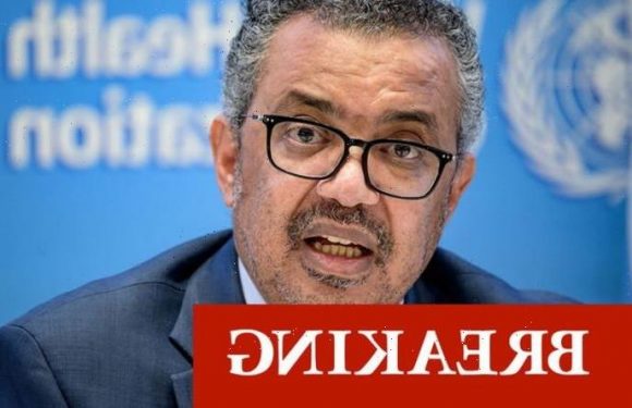 WHO in dire Covid warning as 426 cases of new ‘stealth’ Omicron sub-variant found in UK