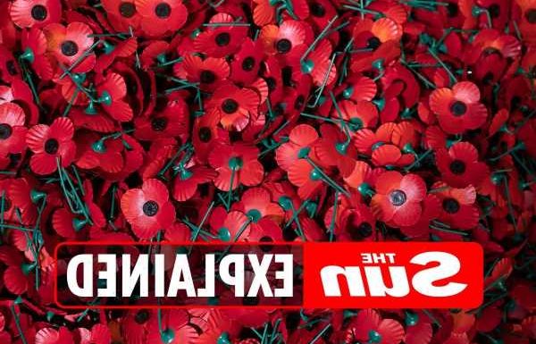 What does Lest We Forget mean? – The Sun