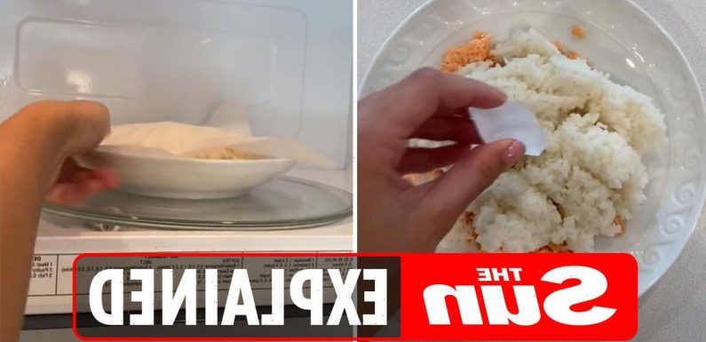 Why are TikTok users putting ice in the microwave?