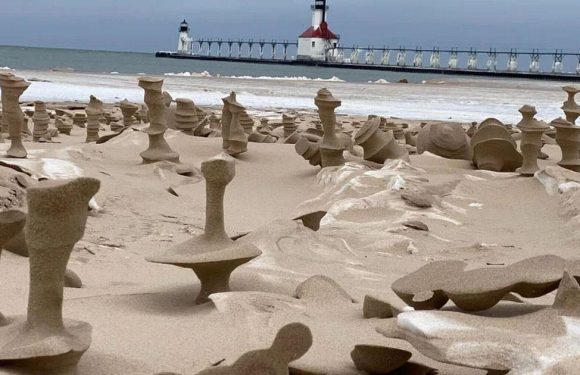 Windy weather phenomenon creates ‘dildo sculptures’ in sand on US beach
