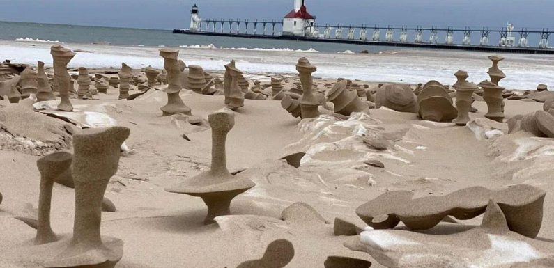 Windy weather phenomenon creates ‘dildo sculptures’ in sand on US beach