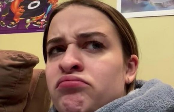 Woman in hysterics after finding VERY rude design feature on her Lego tiger
