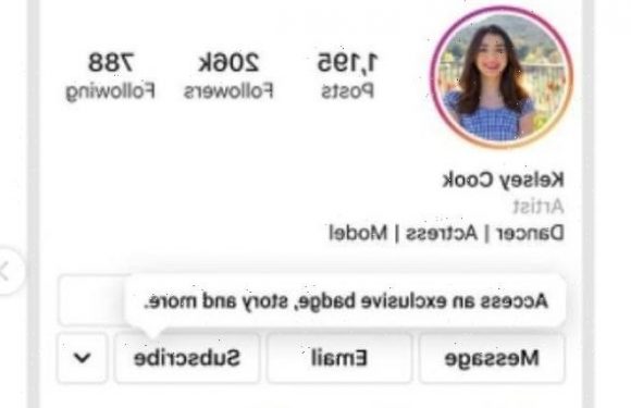 Would you pay for Instagram? New subscription fee test rolls out