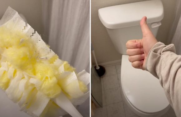 You’ve been cleaning your toilet all wrong – the right way means you won’t be rubbing gunk all over it