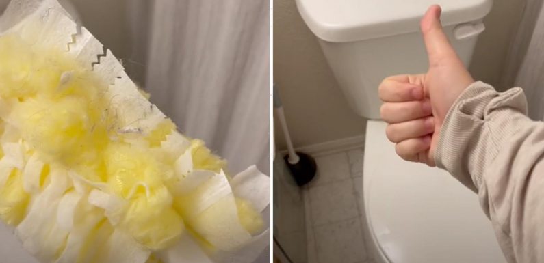 You’ve been cleaning your toilet all wrong – the right way means you won’t be rubbing gunk all over it