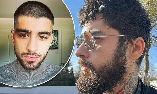 Zayn Malik sends fans wild as he sports a huge beard in a rare selfie