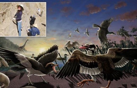 Ancient bird with a 'movable CHIN' roamed China 120 million years ago