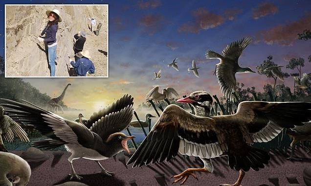 Ancient bird with a 'movable CHIN' roamed China 120 million years ago