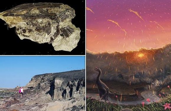 Asteroid that wiped out dinosaurs 66m years ago hit Earth in SPRING