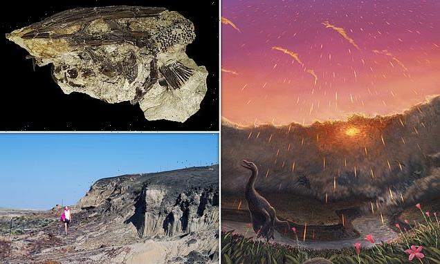 Asteroid that wiped out dinosaurs 66m years ago hit Earth in SPRING