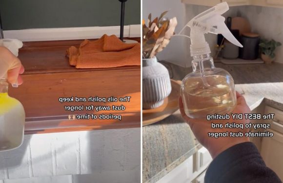 Cleaning fanatics are sharing a ‘miracle’ spray they claim gets rid of dust for longer AND makes your house smell great