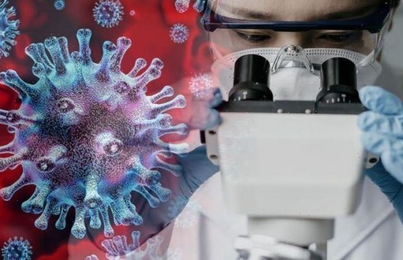 Covid breakthrough: Scientists invent test that can detect coronavirus in FOUR minutes