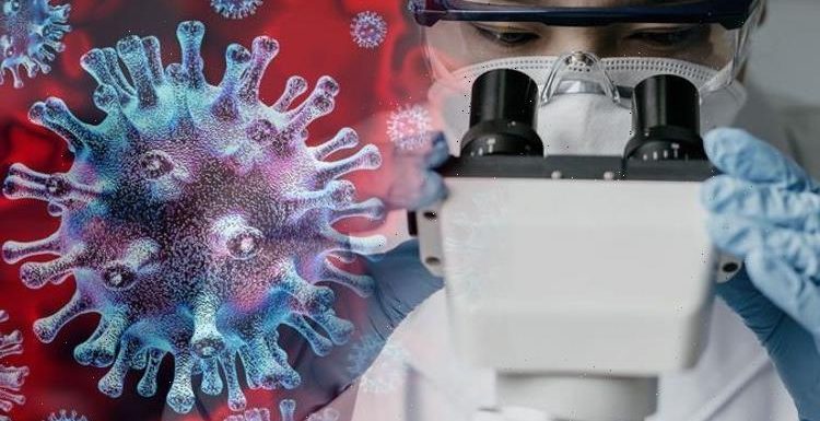 Covid breakthrough: Scientists invent test that can detect coronavirus in FOUR minutes