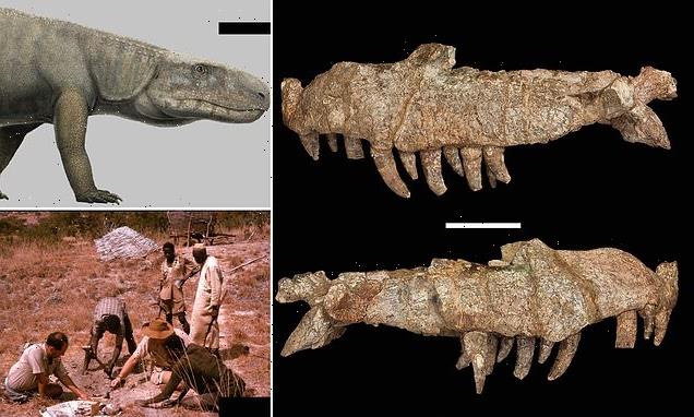 'Crocodile-like beast' roamed Tanzania 240 million years ago