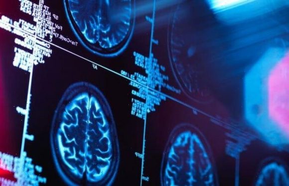 Dementia breakthrough as ‘promising’ new way to prevent disease found in gums