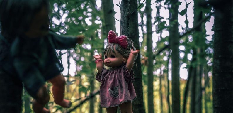 Disturbing ‘forest of dolls’ where explorers are ‘too scared to visit at night’