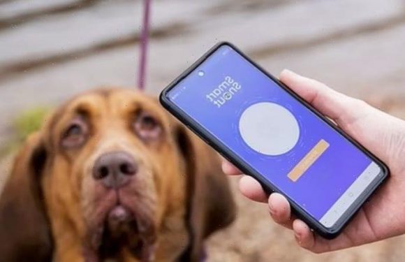 Dog thieves watch out! New app to track dog’s noses could destroy pet-stealing criminals