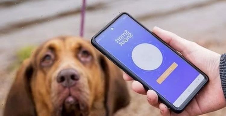 Dog thieves watch out! New app to track dog’s noses could destroy pet-stealing criminals