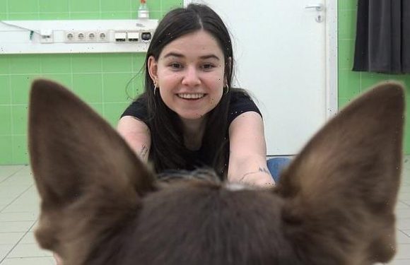 Dogs can recognise their owner by their voice alone, study reveals