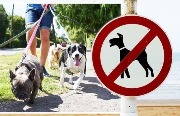 Dogs face being BANNED from parks as poo and urine ‘substantially’ harming environment