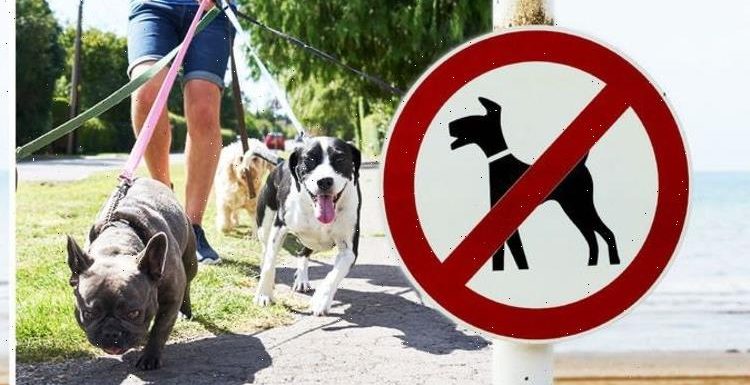 Dogs face being BANNED from parks as poo and urine ‘substantially’ harming environment