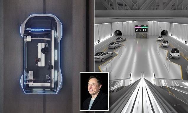 Elon Musk pushes to build tunnel for Tesla vehicles in Miami Beach