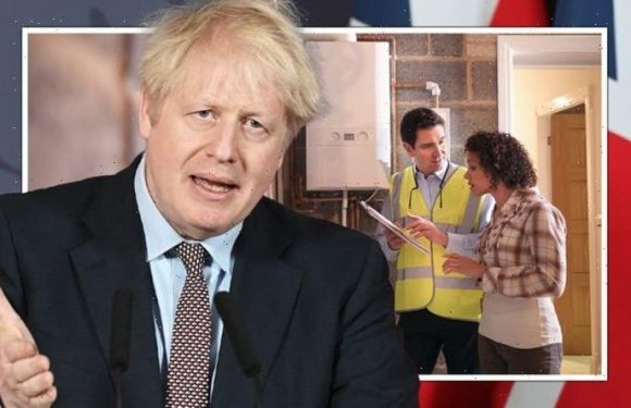 Energy crisis: How much MORE could Boris Johnson net zero strategy cost you?