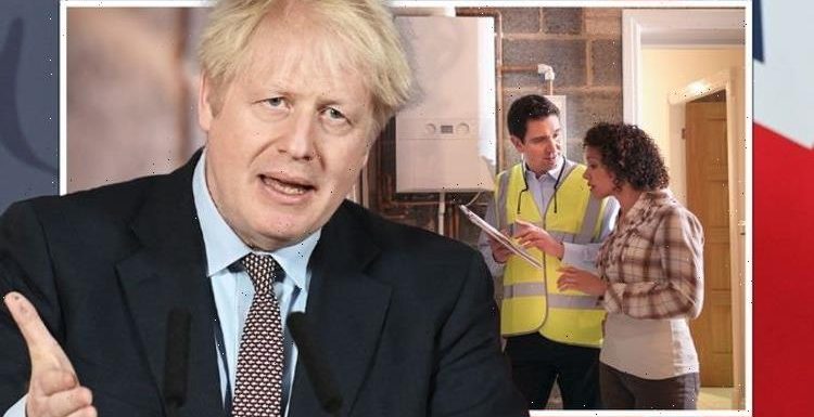 Energy crisis: How much MORE could Boris Johnson net zero strategy cost you?
