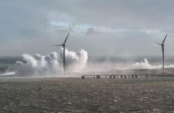 Energy prices drop as Storm Malik causes massive surge in wind energy generation