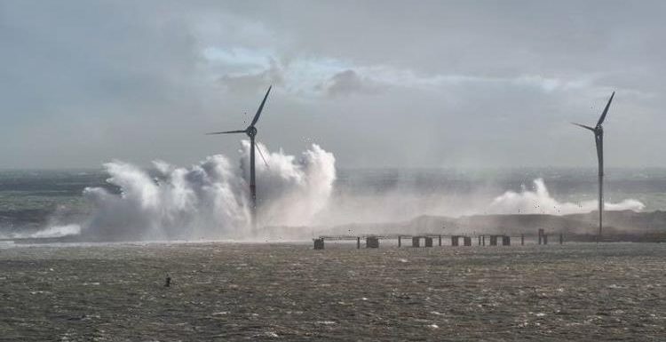 Energy prices drop as Storm Malik causes massive surge in wind energy generation