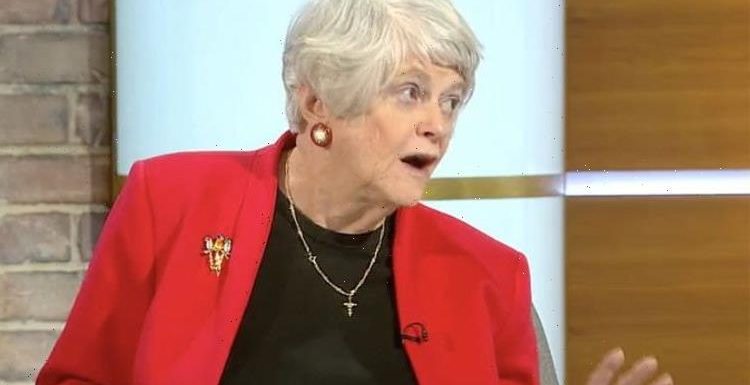 ‘Get your facts right!’ Widdecombe rages at Jeremy Vine over UK’s ‘reliance on France’
