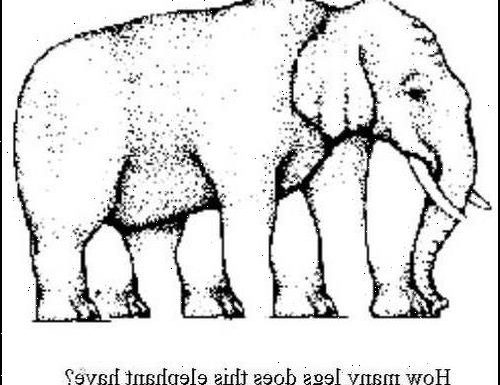 How many legs does this elephant have? The latest optical illusion to sweep the web will leave you scratching your head