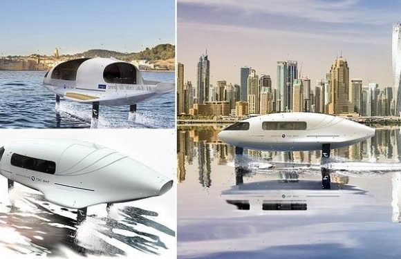 Hydrogen-powered flying BOAT will be built in Dubai next year