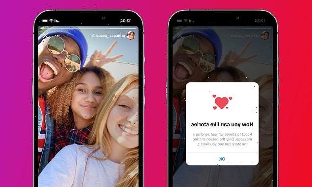 Instagram launches Private Story Likes so users can respond with heart