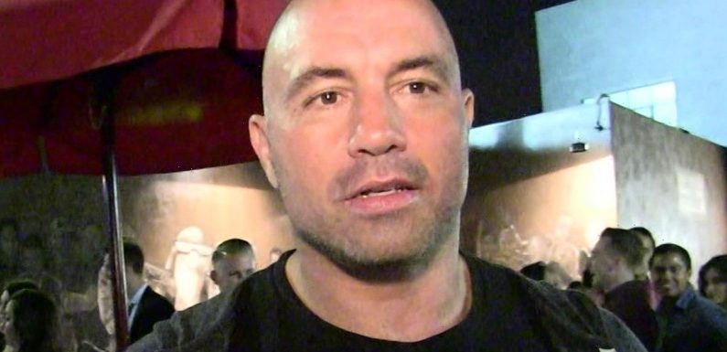 Joe Rogan Gets Support from The Rock and Other Celebs After Apology