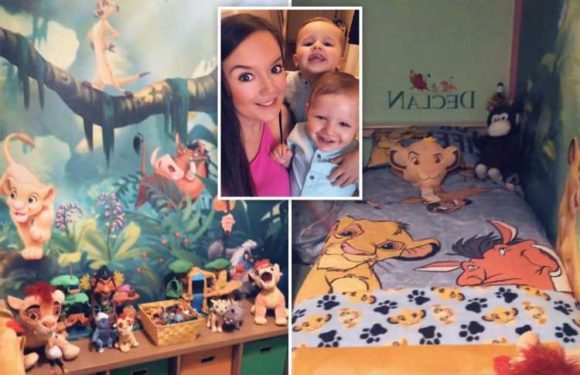 Mum creates incredible Lion King-themed bedroom for son using eBay & Asda bargains