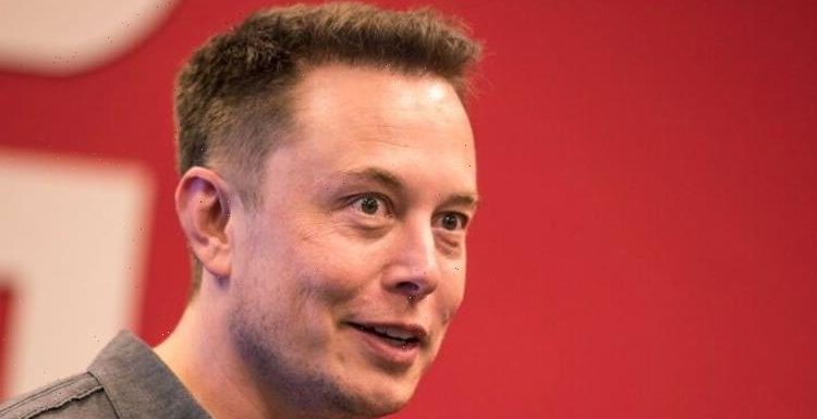 Musk sent warning as Telsa ‘could get hacked’ with a million EVs under rogue control