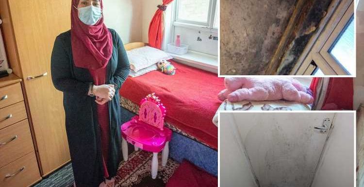 My house is so mouldy my daughter can barely breathe – I've spent more than £4,000 replacing furniture covered in damp